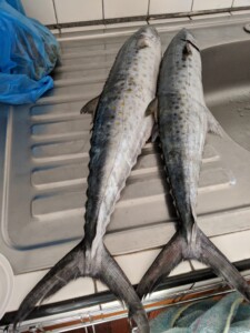 Maker:0x4c,Date:2017-10-5,Ver:4,Lens:Kan03,Act:Lar01,E-ve