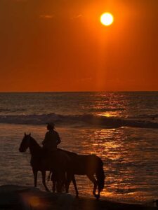 About San Pancho FAQ | Casa Amor Mexico